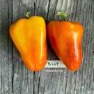 Blot Heirloom Sweet Peppers Heirloom Vegetable Garden 25 seeds