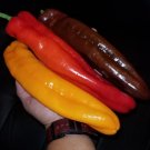 Twister Peppers Heirloom Vegetable Garden 25 seeds