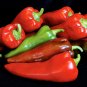 Carmen Italian Sweet Peppers Heirloom Vegetable Garden Food 25 seeds