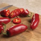 Pusa Jwala Peppers Heirloom Vegetable Garden 25 seeds