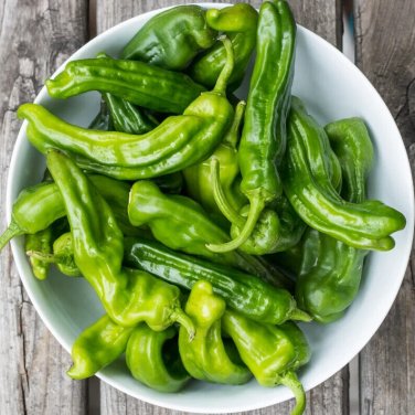 Shishito Peppers Heirloom Hot Vegetable Garden 25 seeds