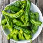 Shishito Peppers Heirloom Hot Vegetable Garden 25 seeds