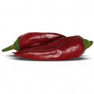 Guajillo Peppers Red Heirloom Hot Spicy Vegetable Garden 25 seeds