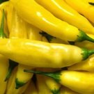 Lemon Drop Peppers Planting Edible Vegetable Garden 25 seeds