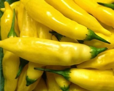 Lemon Drop Peppers Planting Edible Vegetable Garden 25 seeds