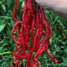 Thunder Mountain Longhorn Peppers Cayenne Heirloom Vegetable Garden 25 seeds
