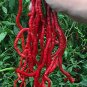 Thunder Mountain Longhorn Peppers Cayenne Heirloom Vegetable Garden 25 seeds