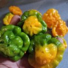 Scotch Bonnet Peppers Green Yellow Garden Vegetables Edible 25 seeds