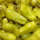 Pepperoncini Peppers Mild Temp Planting Vegetable Garden Food Pizza Top 25 seeds