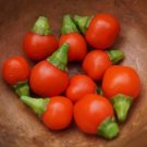 Wiri Wiri Hot Peppers seeds 25 seeds