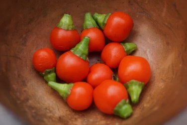 Wiri Wiri Hot Peppers seeds 25 seeds