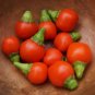 Wiri Wiri Hot Peppers seeds 25 seeds