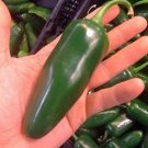 Jalapeno Pepper Giant Edible Vegetable Food Garden Planting Hot Spicy 25 seeds