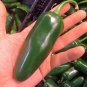 Jalapeno Pepper Giant Edible Vegetable Food Garden Planting Hot Spicy 25 seeds