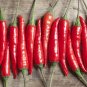 Cayenne Pepper Organic Thick seeds 25 seeds