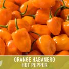 Habanero Orange Pepper Heirloom Hot Vegetable Edible Planting Food 25 seeds