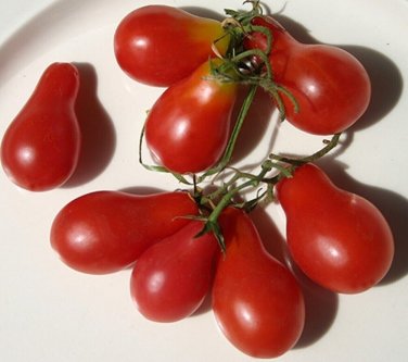 Austin'S Red Pear Tomato Garden Planting Tomatoes Food 50+ seeds