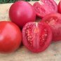 Arkansas Traveler Tomato  Garden Planting Tomatoes 50+ seeds