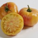 Armenian Tomato Garden Planting Tomatoes Food 50+ seeds