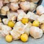 Molly'S Ground Cherry Tomato  Garden Planting Tomatoes 50+ seeds