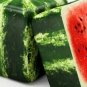 Square Watermelon Usa Large Summer Time  Fruit 15+ seeds
