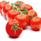 Campari Tomato Vegetable Garden Planting Tomatoes Usa Food 50+ seeds