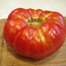 Hillbilly Tomato Vegetable Garden Planting Tomatoes Usa 50+ seeds