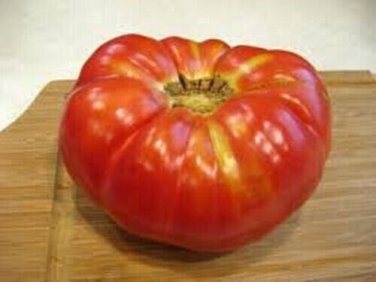 Hillbilly Tomato Vegetable Garden Planting Tomatoes Usa 50+ seeds