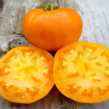 Amana Orange Tomato  Garden Planting Tomatoes 50+ seeds