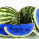 Juicy Blue Watermelon Usa Large Summer Time  Fruit Food 15 seeds