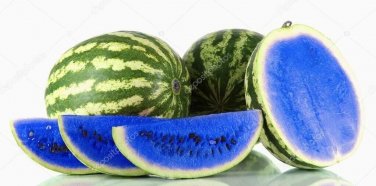 Juicy Blue Watermelon Usa Large Summer Time  Fruit Food 15 seeds