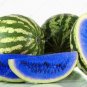Juicy Blue Watermelon Usa Large Summer Time  Fruit Food 15 seeds