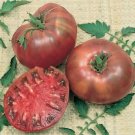 Cherokee Purple Tomato Vegetable Garden Planting Tomatoes Usa 50+ seeds