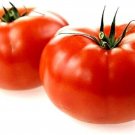 Marglobe Tomato Vegetable Garden Planting Tomatoes Usa 50+ seeds