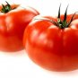 Marglobe Tomato Vegetable Garden Planting Tomatoes Usa 50+ seeds