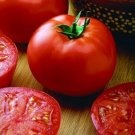 Big Beef Tomato Vegetable Garden Planting Tomatoes Usa Food 50+ seeds