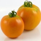 Amish Gold Slicer Tomato  Garden Planting Tomatoes Food 50+ seeds