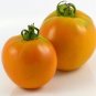 Amish Gold Slicer Tomato  Garden Planting Tomatoes Food 50+ seeds