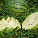 Juicy White Watermelon Usa Large Summer Time  Fruit 15+ seeds