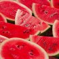 Juicy Red Watermelon Usa Large Summer Time  Fruit 15+ seeds