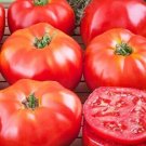 Beefsteak Tomato Vegetable Garden Planting Tomatoes Usa 50+ seeds