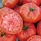 Mortgage Lifter Tomato Vegetable Garden Planting Tomatoes Usa 50+ seeds