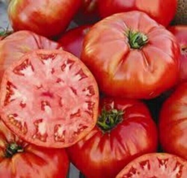 Pantano Romanesco Tomato Vegetable Garden Planting Tomatoes Usa 50+ seeds