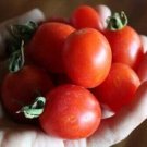 Grappoli D'Inverno Tomato Garden Planting Tomatoes 50+ seeds