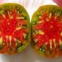 Ananas Noire Tomato  Garden Planting Tomatoes Food 50+ seeds