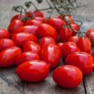 Datterino Tomato Vegetable Garden Planting Tomatoes Usa 50+ seeds
