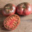 Black Krim Tomato Vegetable Garden Planting Tomatoes Usa 50+ seeds