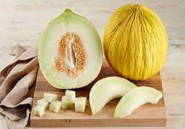 Casaba Melon Planting Easy To Grow Melons Garden 25 seeds