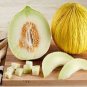 Casaba Melon Planting Easy To Grow Melons Garden 25 seeds