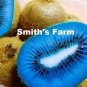 Blue Kiwi Hard To Locate Sweet Juicy Fruit  25+ seeds